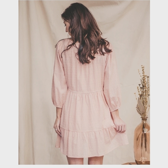 Entro Anthropologie Guest Brand Swiss Dot Babydoll Dress - Picture 2 of 15